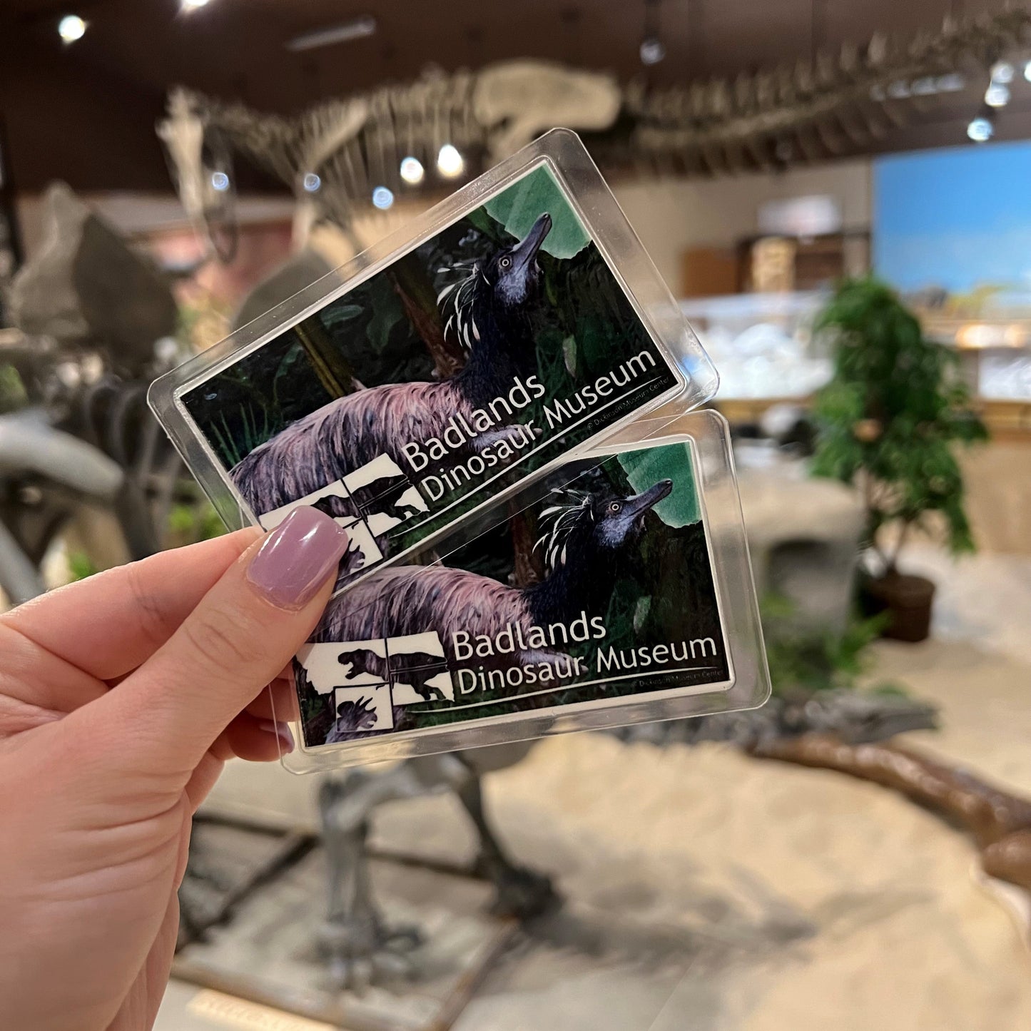 Museum Membership